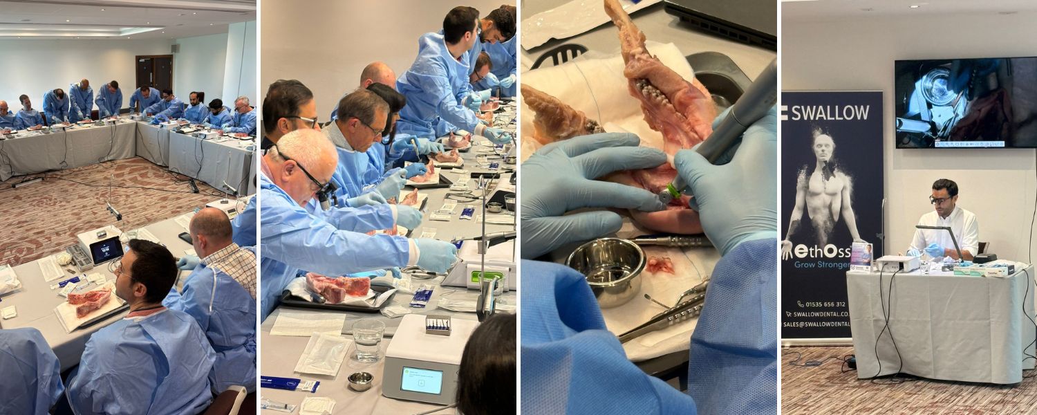 Advanced Bone Regeneration and Implant Techniques Hands-on session