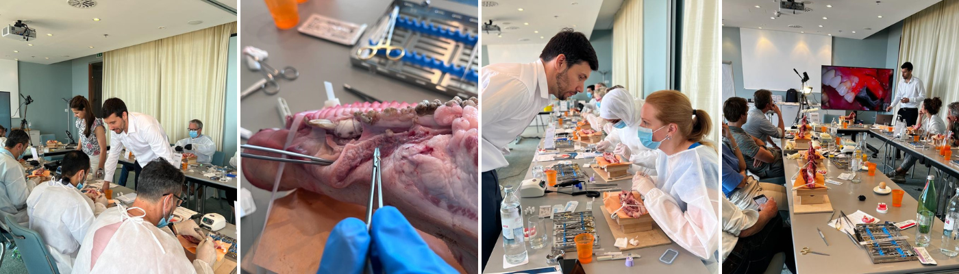 Resorba Seminar – Oral Surgery Theory and Practice