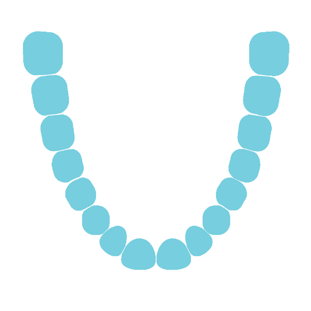 Universal teeth diagram