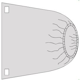 Sterile Banded Bag - Fluoro cover 75cm H x 90cm W - Ref: 12065