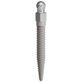 C-TECH NMAB Dental Implant
