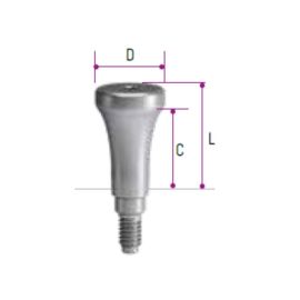 Aesthetic Line Hexed Ti Base 