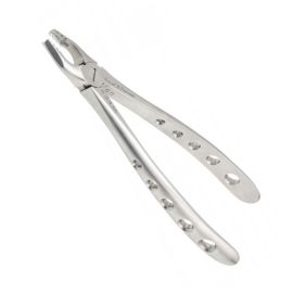 X Forcep #34M, Upper Canines and Inscisors