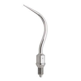 W&H Proxeo Scaler Tip 2APr