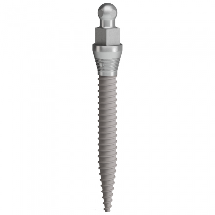 CTECH CAB Small Diameter Collared OBall Dental Implants Swallow Dental