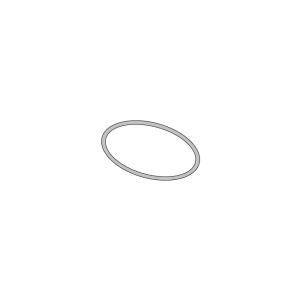 W&H O-Ring, RM/ISO Adaptor