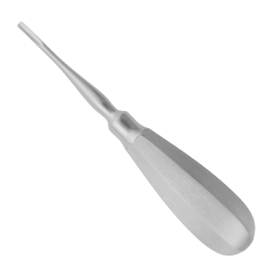 Devemed Root Elevator 3.0 mm 140 mm Bein - Ref 65