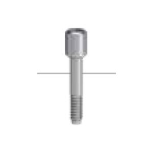 Internal Prosthetic Screws