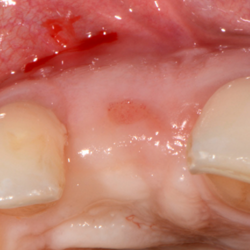 ethoss case studies Swallow Dental