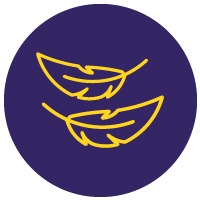 Ultra-Lightweight Design